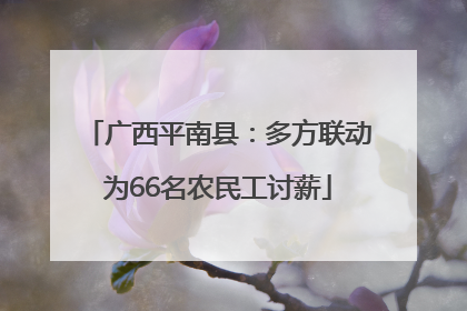 广西平南县：多方联动为66名农民工讨薪