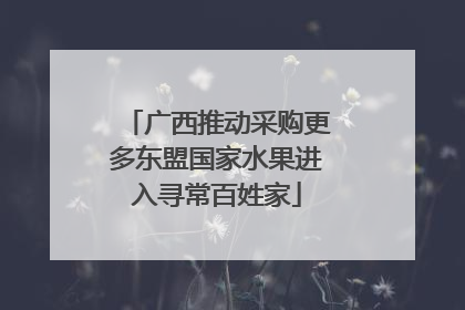 广西推动采购更多东盟国家水果进入寻常百姓家