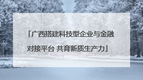广西搭建科技型企业与金融对接平台 共育新质生产力