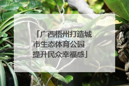 广西梧州打造城市生态体育公园 提升民众幸福感