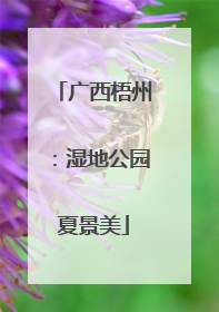 广西梧州：湿地公园夏景美