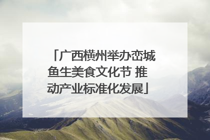 广西横州举办峦城鱼生美食文化节 推动产业标准化发展