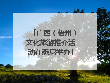 广西（梧州）文化旅游推介活动在悉尼举办