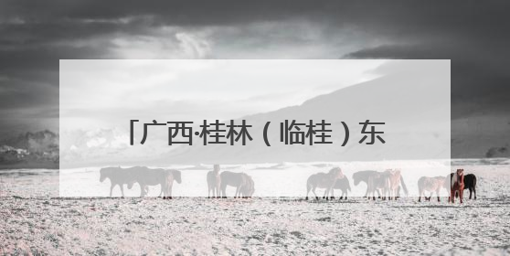 广西·桂林（临桂）东盟城市龙舟邀请赛开赛