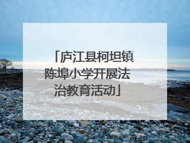 庐江县柯坦镇陈埠小学开展法治教育活动