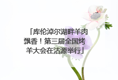 库伦淖尔湖畔羊肉飘香！第三届全国烤羊大会在沽源举行