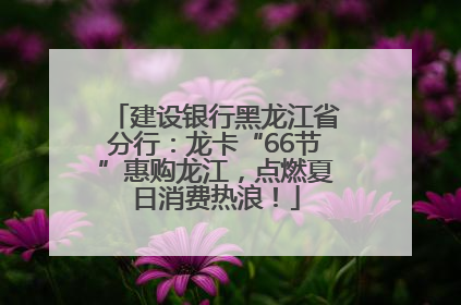 建设银行黑龙江省分行：龙卡“66节”惠购龙江，点燃夏日消费热浪！