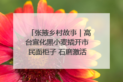 张掖乡村故事｜高台宣化黑小麦撬开市民面柜子 石磨激活村集体钱匣子