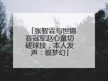 张智霖与世锦赛冠军赵心童切磋球技，本人发声：很梦幻