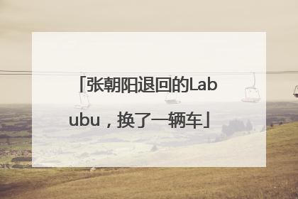 张朝阳退回的Labubu，换了一辆车