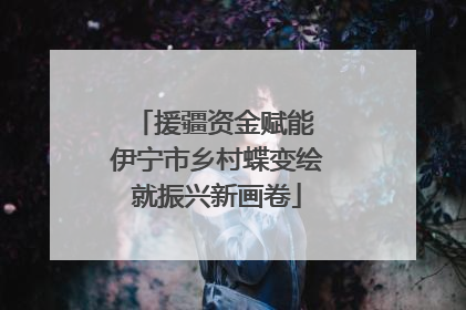 援疆资金赋能 伊宁市乡村蝶变绘就振兴新画卷