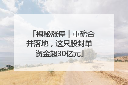 揭秘涨停｜重磅合并落地，这只股封单资金超30亿元