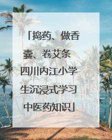 捣药、做香囊、卷艾条 四川内江小学生沉浸式学习中医药知识