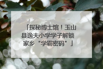 探秘博士馆！玉山县逸夫小学学子解锁家乡“学霸密码”