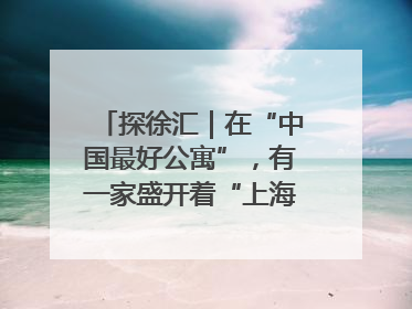 探徐汇｜在“中国最好公寓”，有一家盛开着“上海玫瑰”的书店