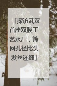 探访武汉首座双膜工艺水厂，筛网孔径比头发丝还细