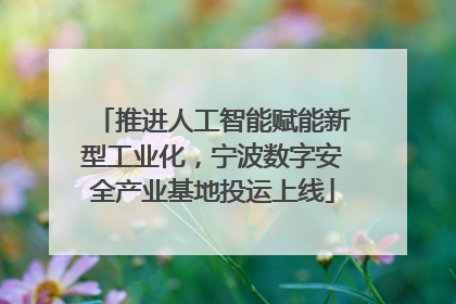 推进人工智能赋能新型工业化，宁波数字安全产业基地投运上线