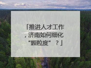 推进人才工作，济南如何细化“颗粒度”？