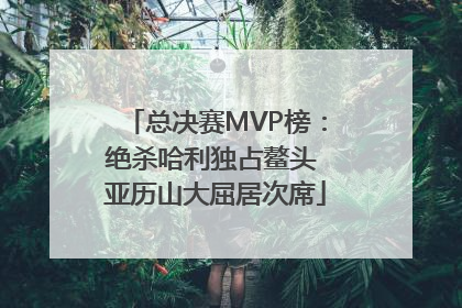 总决赛MVP榜：绝杀哈利独占鳌头 亚历山大屈居次席