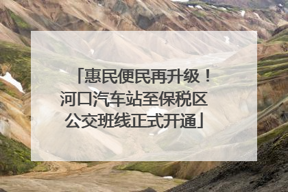 惠民便民再升级！河口汽车站至保税区公交班线正式开通