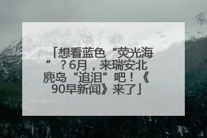 想看蓝色“荧光海”？6月，来瑞安北麂岛“追泪”吧！《90早新闻》来了