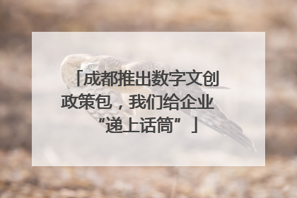 成都推出数字文创政策包，我们给企业“递上话筒”