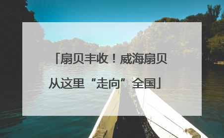 扇贝丰收！威海扇贝从这里“走向”全国