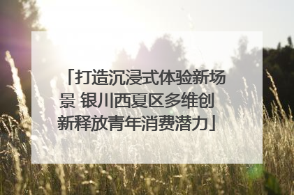 打造沉浸式体验新场景 银川西夏区多维创新释放青年消费潜力