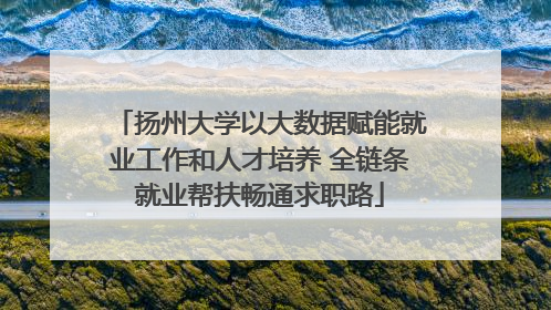 扬州大学以大数据赋能就业工作和人才培养 全链条就业帮扶畅通求职路