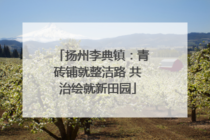 扬州李典镇：青砖铺就整洁路 共治绘就新田园