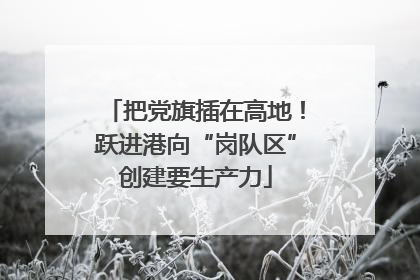 把党旗插在高地！跃进港向“岗队区”创建要生产力
