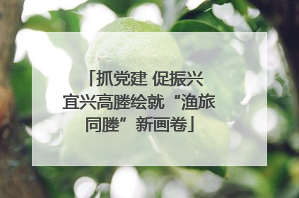 抓党建 促振兴 宜兴高塍绘就“渔旅同塍”新画卷