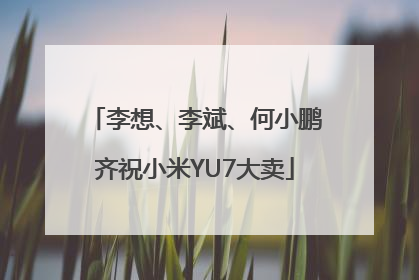 李想、李斌、何小鹏齐祝小米YU7大卖
