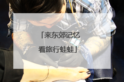 来东郊记忆 看旅行蛙蛙