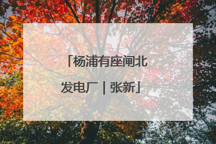杨浦有座闸北发电厂｜张新
