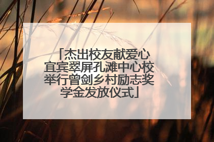 杰出校友献爱心 宜宾翠屏孔滩中心校举行曾剑乡村励志奖学金发放仪式
