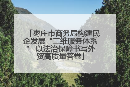 枣庄市商务局构建民企发展“三维服务体系” 以法治保障书写外贸高质量答卷