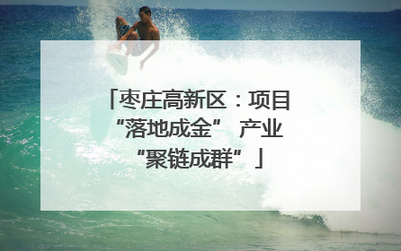 枣庄高新区：项目“落地成金” 产业“聚链成群”