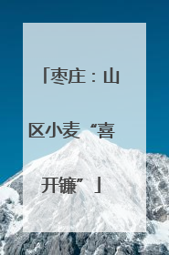 枣庄：山区小麦“喜开镰”