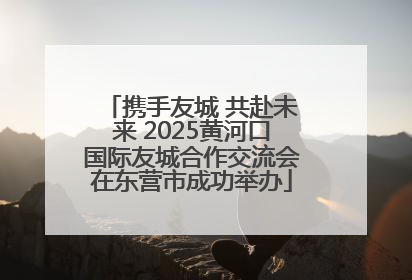 携手友城 共赴未来 2025黄河口国际友城合作交流会在东营市成功举办