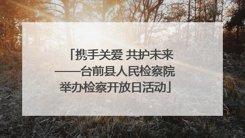 携手关爱 共护未来——台前县人民检察院举办检察开放日活动