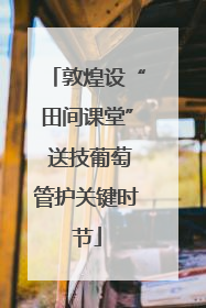 敦煌设“田间课堂” 送技葡萄管护关键时节