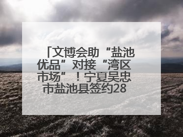 文博会助“盐池优品”对接“湾区市场”！宁夏吴忠市盐池县签约28.44亿元