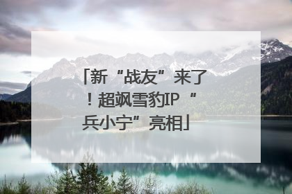 新“战友”来了！超飒雪豹IP“兵小宁”亮相