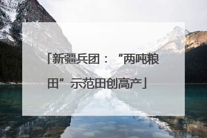 新疆兵团：“两吨粮田”示范田创高产