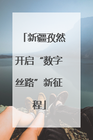 新疆孜然开启“数字丝路”新征程