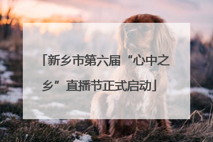 新乡市第六届“心中之乡”直播节正式启动