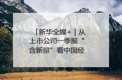新华全媒+｜从上市公司一季报“含新量”看中国经济发展向“新”