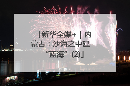 新华全媒+｜内蒙古：沙海之中建“蓝海”(2)