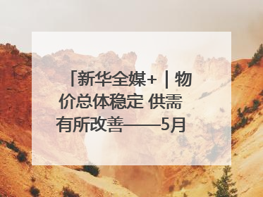 新华全媒+｜物价总体稳定 供需有所改善——5月份物价数据透视
